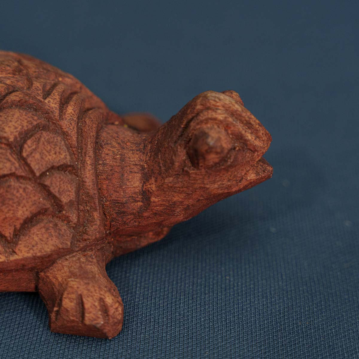 Wooden Small Tortoise