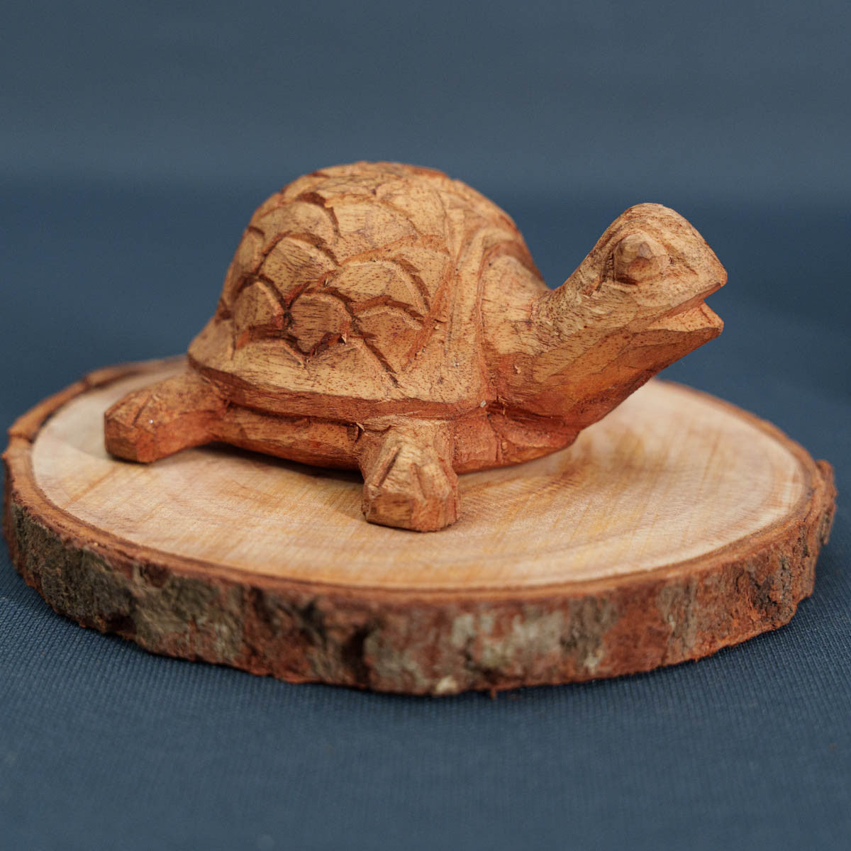 Wooden Small Tortoise