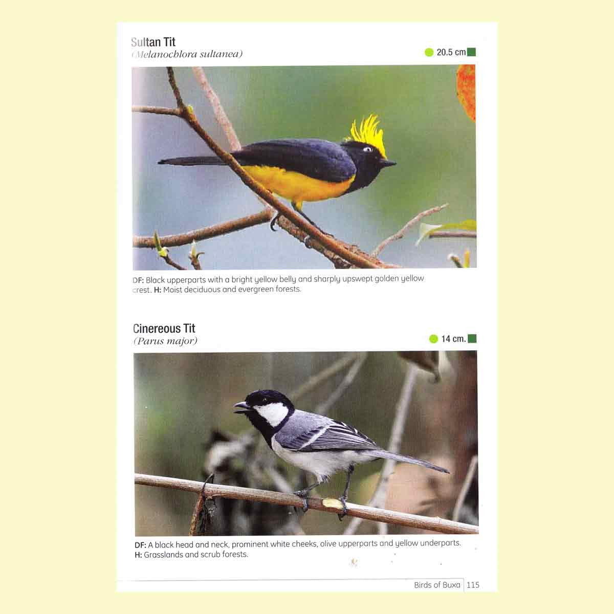 Birds of Buxa Tiger Reserve