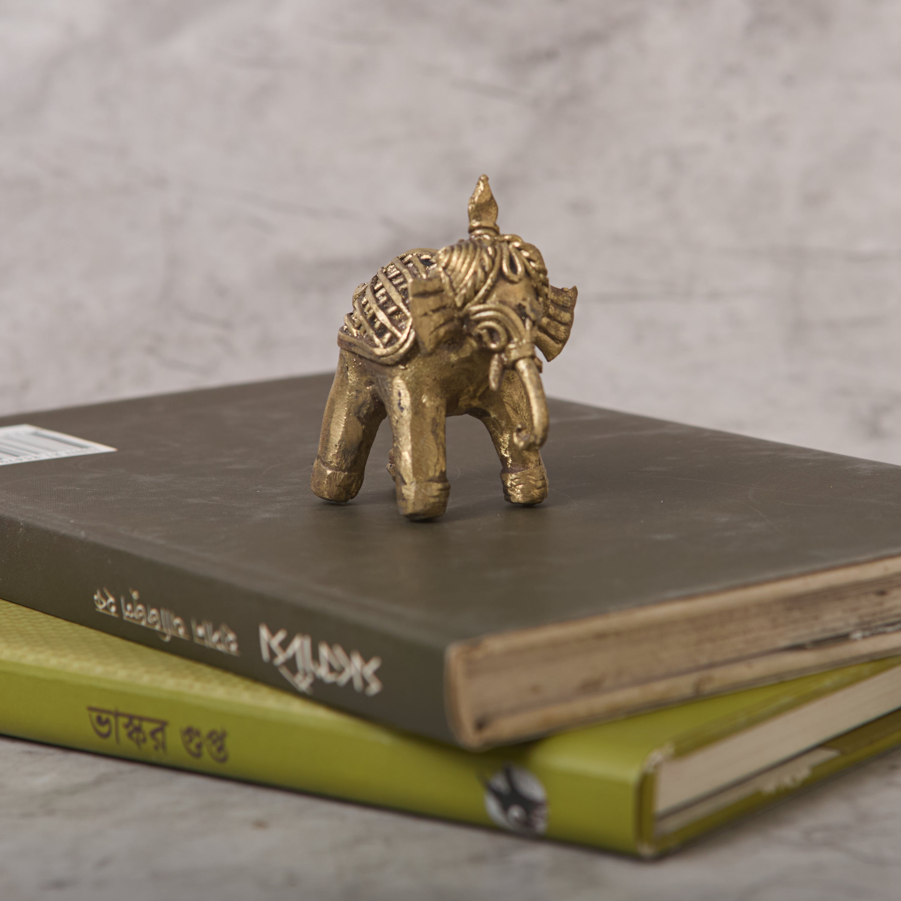 Dokra Small Elephant