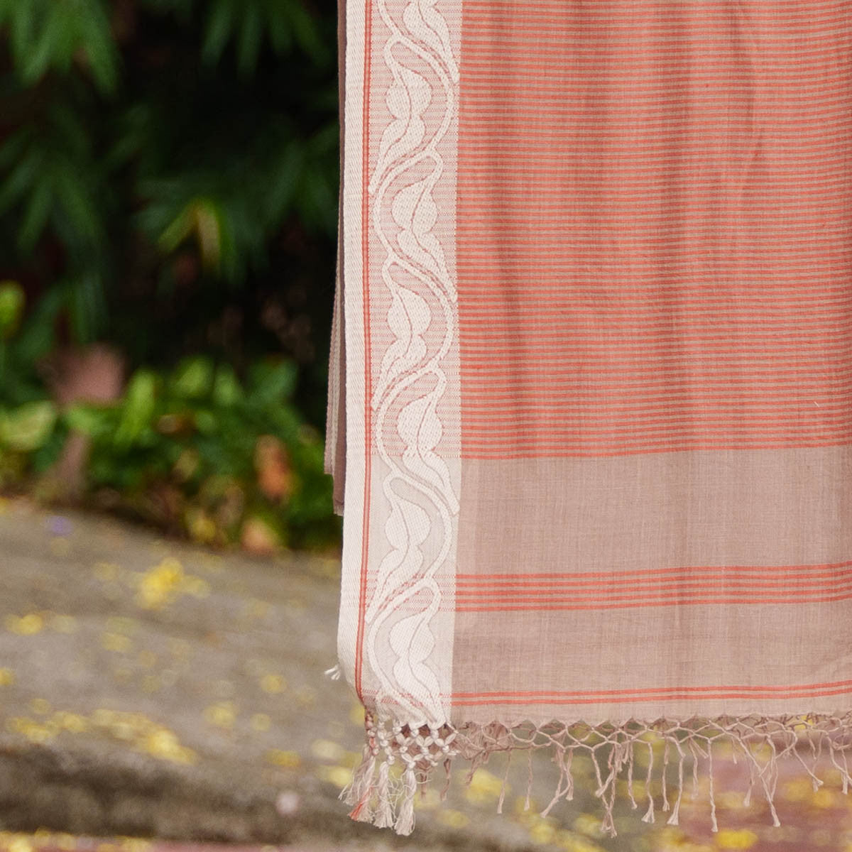 Kalmilata Saree- কলমিলতা পাড়ের শাড়ি