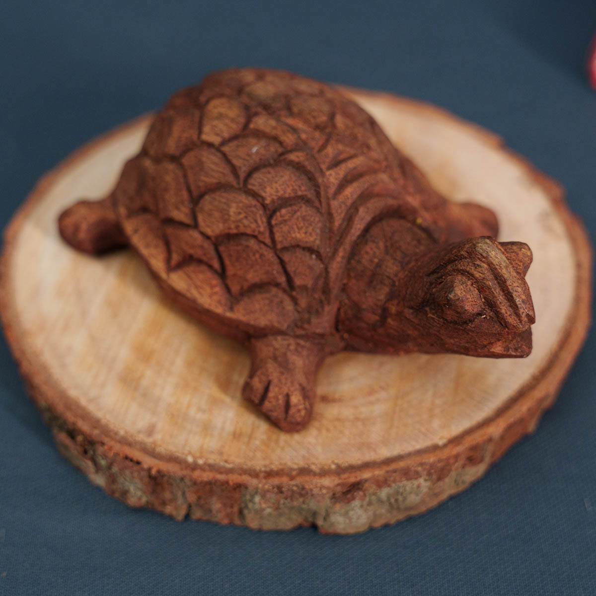 Wooden Small Tortoise